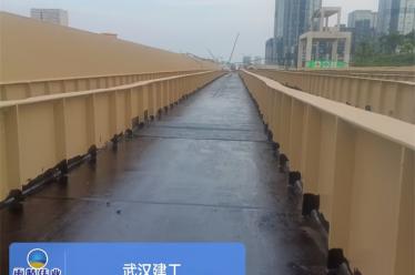 新月溪景觀橋梁工程書橋（光谷五路）橋面防水工程